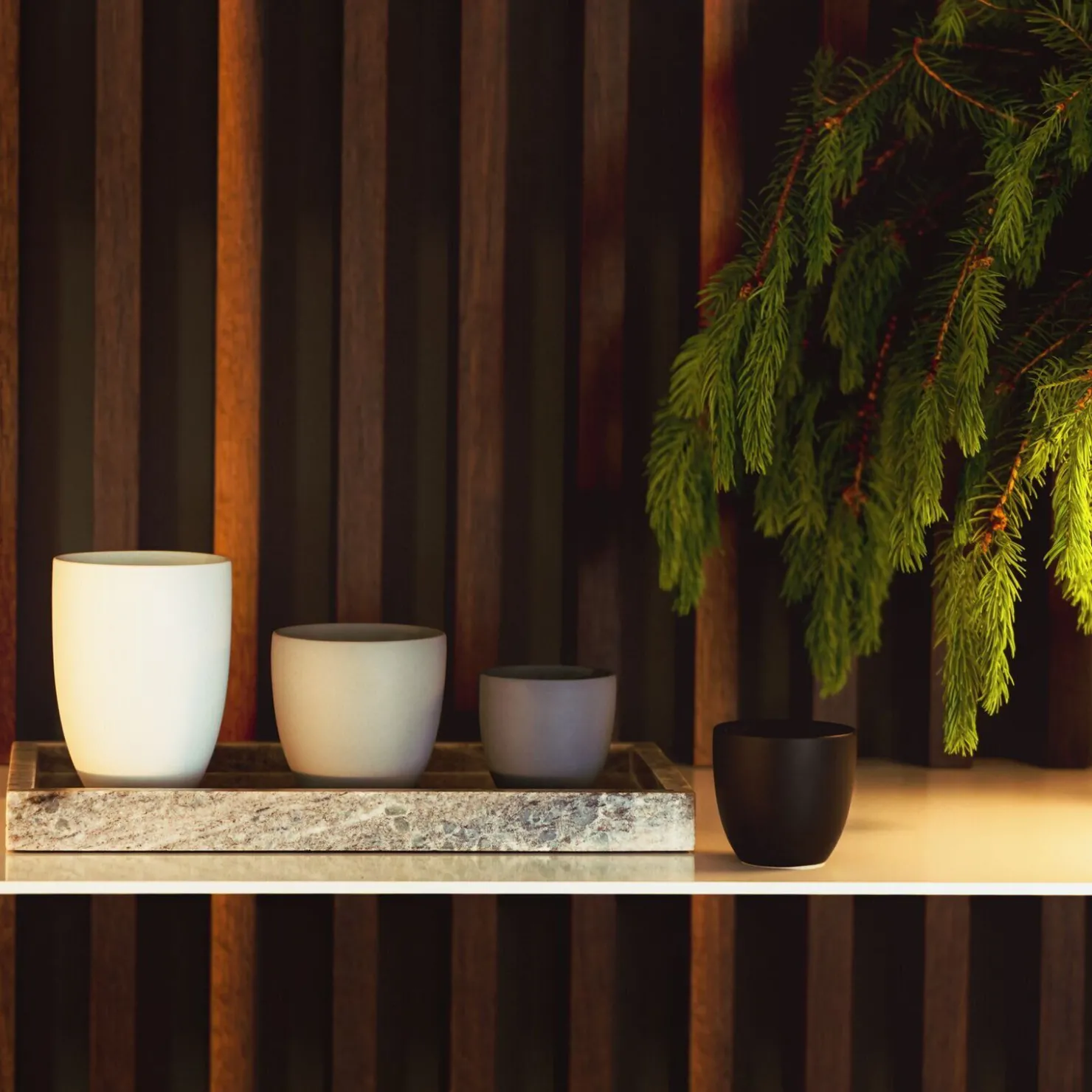 Rosenthal Kaffeetassen|Espressotassen|Lungo doppelwandig