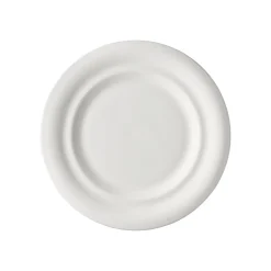 Rosenthal Flache Teller|Speiseteller|Speiseteller 25 cm Fahne