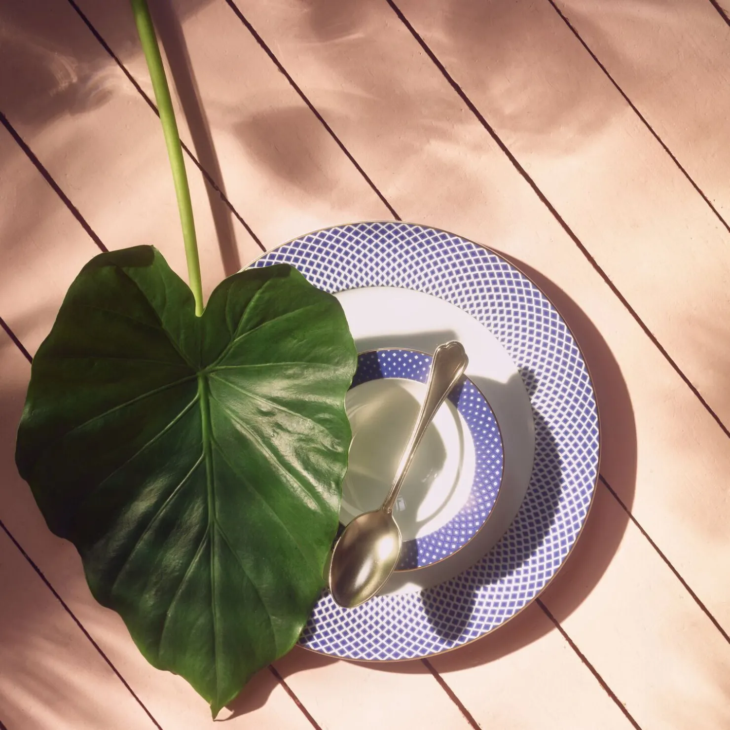 Rosenthal Tiefe Teller|Suppenteller|Suppenteller 22 cm