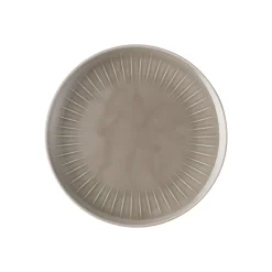 Rosenthal Flache Teller|Speiseteller|Teller 24 cm flach