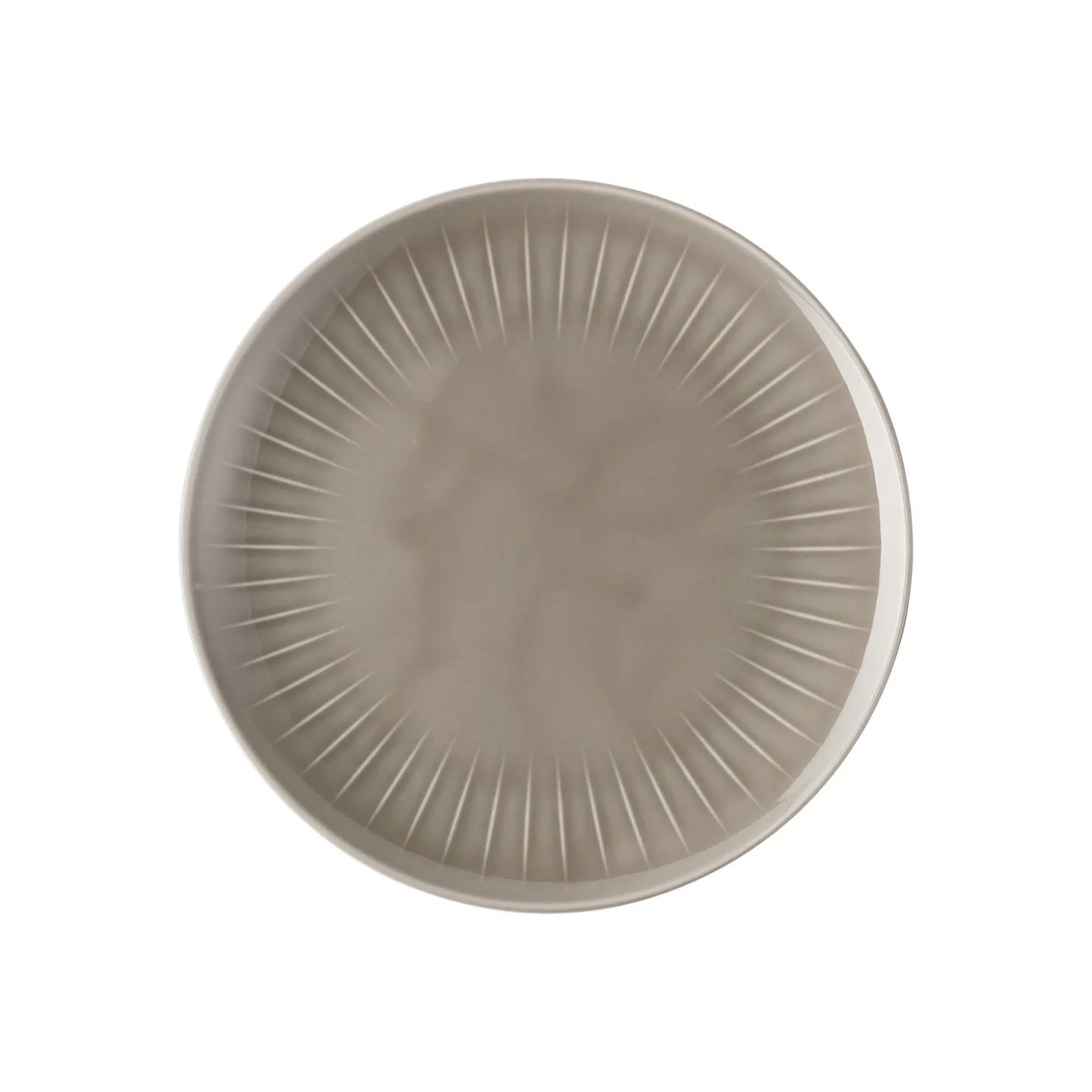 Rosenthal Flache Teller|Speiseteller|Teller 24 cm flach