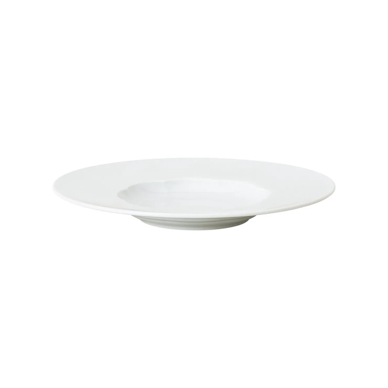 Rosenthal Gourmetteller|Suppenteller|Teller 26 cm tief glänzend
