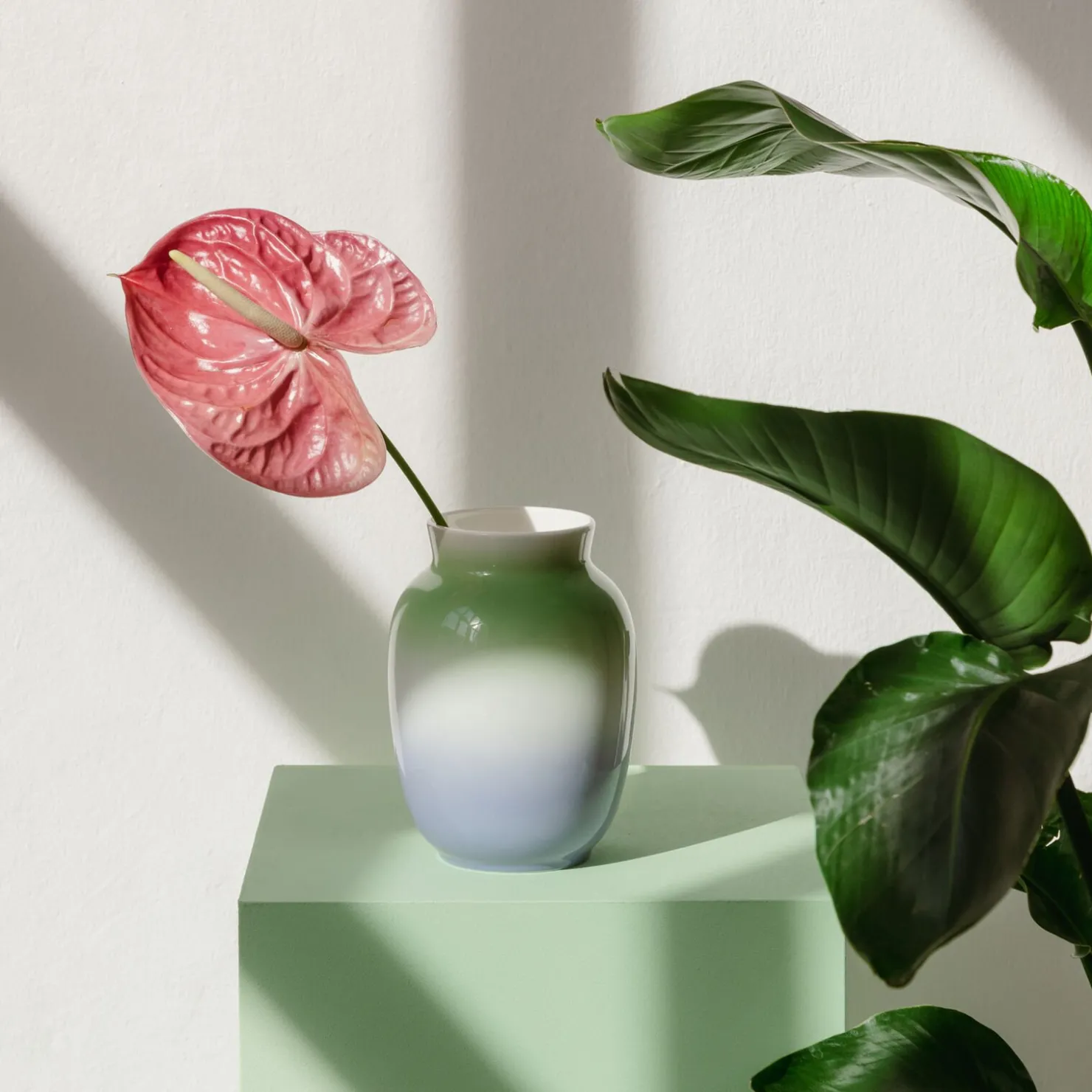 Rosenthal Große Vasen|Vase 20 cm